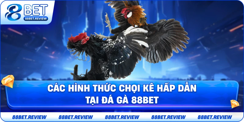 Các Hình Thức Chọi Kê Hấp Dẫn