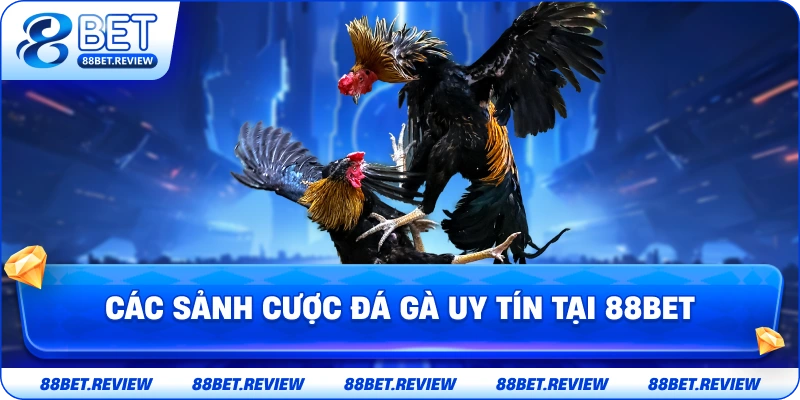 Các Sảnh Cược Đá Gà Uy Tín Tại 88bet