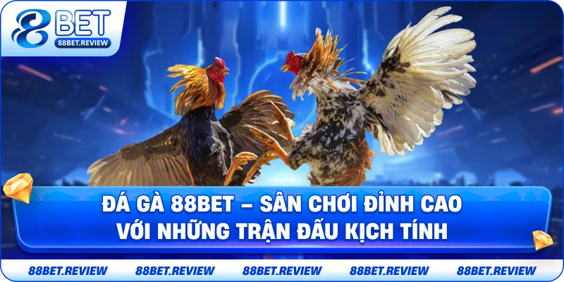 Tổng Quan Đá Gà 88bet – Trải Nghiệm Sân Chơi Cá Cược Đỉnh Cao Với Những Trận Đấu Kịch Tính